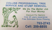 Professional Tree Service