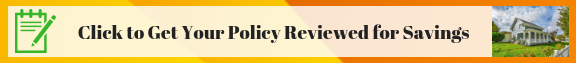 click for policy review banner ad