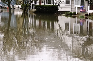 flooded street